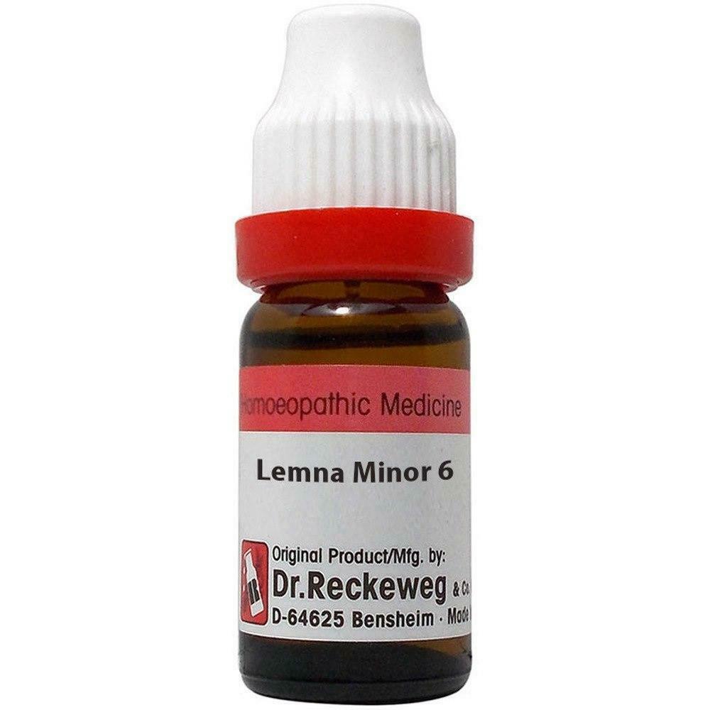 Dr Reckeweg Homeopathic Lemna Minor Dilution Q 20ml The Mg Shop