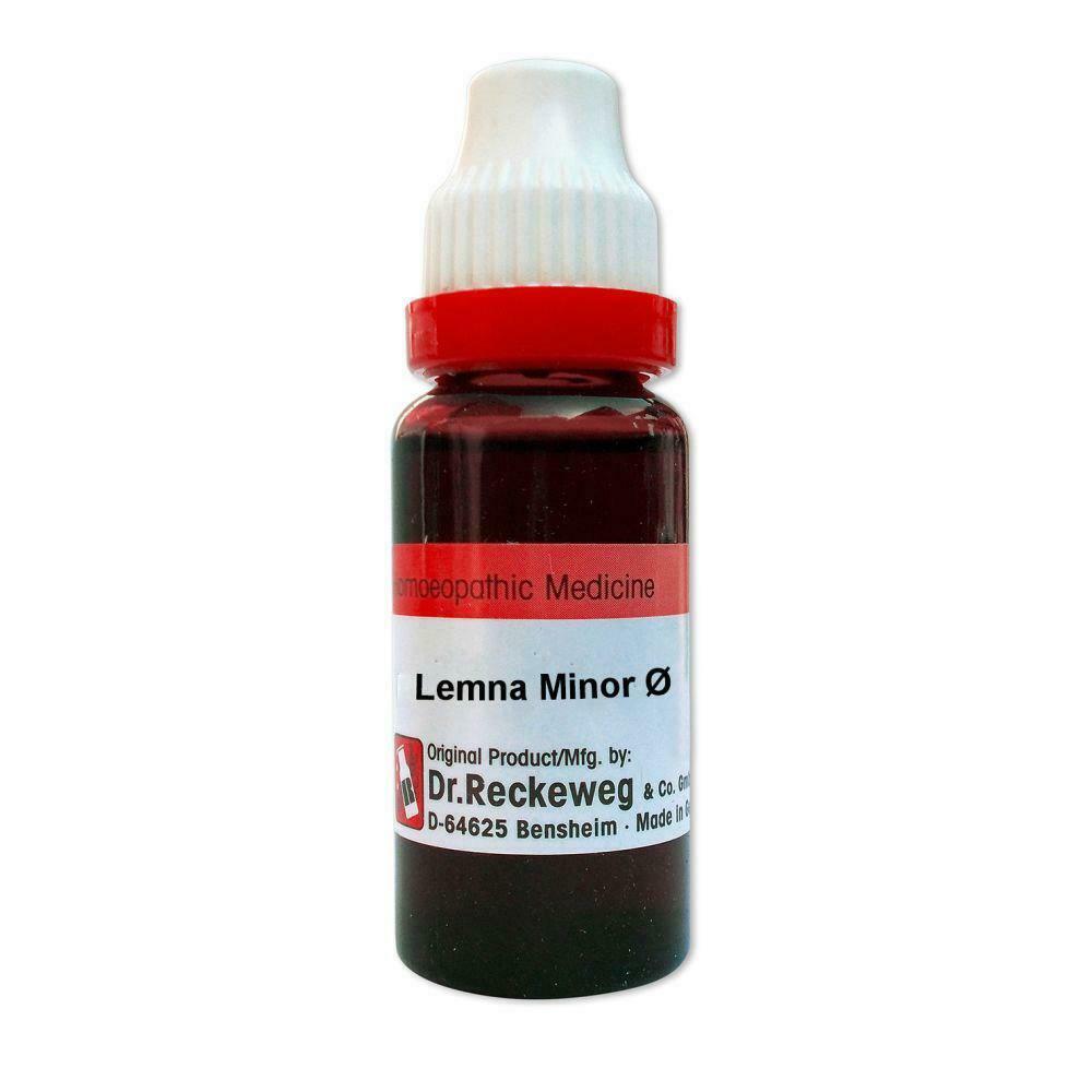 Dr Reckeweg Homeopathic Lemna Minor Mother Tincture 1X(Q) 20ml - The MG