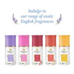 Yardley London London Rose Anti-Perspirant Deodorant Roll-On| Body Deodorant Roll-On For Women| 48-Hour Active Sweat Protection| Alcohol-Free | 50ml - Image 6