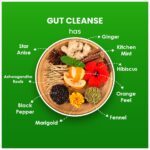 BLUE TEA Gut Cleanse 30 Tea Bags Plant Based Eases Bloating Supports Digestion - Image 3