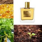 Menjewell Madagascar Vanilla Eau De Perfume for Mens | Long-Lasting Fragrance Scent | Unisex Aromatic Spray Ideal for Daily Use, Date Night, Gifting Purpose, and Special Occasions, (100 ml) - Image 2