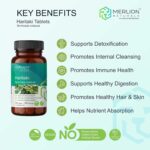 Merlion Naturals Haritaki Tablets, Terminalia chebula, 500mg (120 Tablets) - Image 4