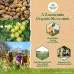 A TATA Product - Organic India Triphala Capsules - 60 Caps, Supports Immune System, Colon & Digestion, Balanced Bowel & Gut Health, Contains Bioactives and Antioxidants, GMP & NPOP Certified Organic - Image 8
