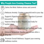 OH CHA - Evening Cleanse | Detox Green Tea with Brahmi, Shatavari, Cinnamon, Blue Cornflower, Hibiscus, Citric Rinds | Cleanse Worries Away | 100% Whole Green Tea Leaves | 35g Tin Caddy - Image 3