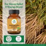 A TATA Product - Organic India Pure Ashwagandha Root Capsules - 60 Veg Caps (400mg), For Vitality & Relieves Stress, Naturally Boosts Energy & Stamina, Improves Immune System, GMP & NPOP Certified - Image 3