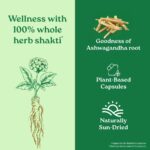 A TATA Product - Organic India Pure Ashwagandha Root Capsules - 60 Veg Caps (400mg), For Vitality & Relieves Stress, Naturally Boosts Energy & Stamina, Improves Immune System, GMP & NPOP Certified - Image 6