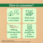 A TATA Product - Organic India Pure Ashwagandha Root Capsules - 60 Veg Caps (400mg), For Vitality & Relieves Stress, Naturally Boosts Energy & Stamina, Improves Immune System, GMP & NPOP Certified - Image 8