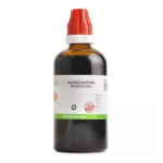 BJain Andrographis Paniculata 1X (Q) Mother Tincture (100ml)