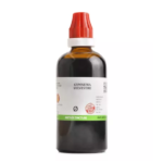 BJain Gymnema Sylvestre 1X (Q) Mother Tincture (100ml)