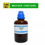 SBL Homeopathic Plantago Major Mother Tincture Q (100ml)