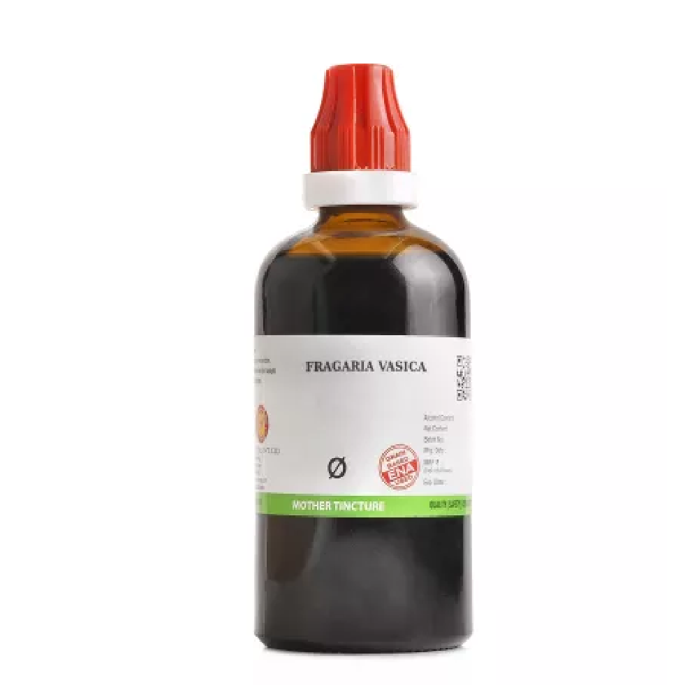 BJain-Fragaria-Vasica-1X-Q-100ml.png BJain Fragaria Vasica 1X (Q) Mother Tincture (100ml) For Gout, Rash, Itching - Image 1