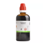BJain Hamamelis Virginica 1X (Q) Mother Tincture (100ml) For Piles, Swelling, Back & Knee Pain