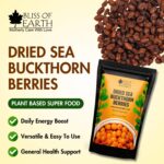 Bliss of Earth Himalayan Sea Buckthorn Berries (100g) | Naturally Sun-Dried Wild Berries | Packed with Omega 3, 6, 7 & 9 + Vitamins C & E | Supports Immunity, Digestion & Metabolism | Enhances Skin Glow & Hair Health | Zero Added Sugar - Image 2