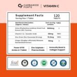 Carbamide Forte Natural Vitamin C Supplements Amla Extract With Zinc For Immunity & Skincare | Vitamin C Tablets - 120 Tablets - Image 2