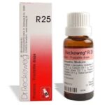 Dr Reckeweg R25 Drops Homeopathic Medicine 22 ml for kidney functions  kidney/Liver kidney care