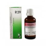 Dr Reckeweg R29 Vertigo Syncope Drops Homeopathic Medicine for Vertigo  relieving nausea