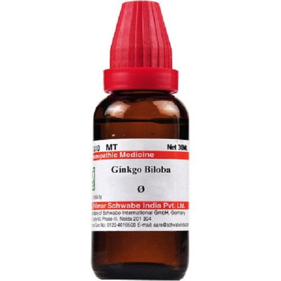 Dr-Willmar-Schwabe-India-Ginkgo-Biloba-Mother-Tincture-1XQ-30ml.jpg Dr Willmar Schwabe India Ginkgo Biloba Mother Tincture 1X(Q) 30ml for anxiety itching eczema - Image 1