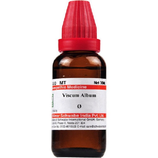Dr-Willmar-Schwabe-India-Viscum-album-Mother-Tincture-1X-Q-30ml.jpg Dr Willmar Schwabe India Viscum album Mother Tincture 1X (Q) (30ml) for vertigo itching constipation - Image 1