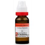 Dr. Reckeweg Germany Carduus Marianus Dilution (11ml) for vomiting nausea