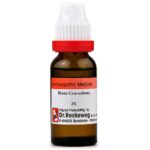 Dr. Reckeweg Ruta Graveolens Dilution (11ml) for composition joints pain