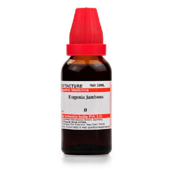 Dr.-Willmar-Schwabe-India-Eugenia-Jambosa-Mother-Tincture-Q-30ml.jpg Dr. Willmar Schwabe India Eugenia Jambosa Mother Tincture (Q) (30ml) for indigestion nausea vomiting - Image 1
