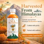 Rahulife Naturals Sea Buckthorn Juice 500ml | Himalayan Sourced | Rich in Omega 3, 6, 7 & 9 | High Omega-7 Formula | No Added Sugar | Supports Skin Glow, Immunity, Heart Health & Digestion - Image 5