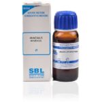 SBL  Anagallis Arvensis Mother Tincture (Q) (30ml) for itching joints pain swelling