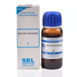 SBL Bacopa Munnieri Mother Tincture Q for stress anxiety backache joint pain