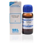 SBL Bryophyllum Calycinum Mother Tincture (Q) (30ml) for urinary disorders headaches  eye pains