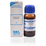 SBL Eucalyptus Globules Mother Tincture (Q) (30ml) for headache indigestion diarrhoea