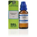 SBL  Chionanthus Virginica Dilution 30ml for headache constipation Relieves pain
