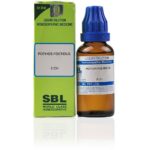 SBL  Teucrium Marum Verum Dilution 30ml for Itching  back pains