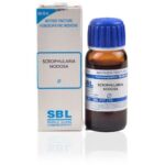 SBL Ruta Graveolens  Mother Tincture (Q) 30ml for headache joints pain relieving eyestrain