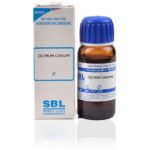 SBL  Ocimum canum Mother Tincture (Q) (30ml) for vomiting swelling kidney stones