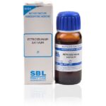 SBL Petroselinum Sativum  Mother Tincture (Q) (30ml) for vertigo headache cough