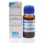 SBL Rhus Toxicodendron Mother Tincture  1X (Q) (30ml) for Itch Urticaria Hives Rash Heel Pain Arthritis
