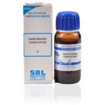 SBL  Sanguinaria Canadensis  Mother Tincture 1X (Q) (30ml) for headache vomiting nausea