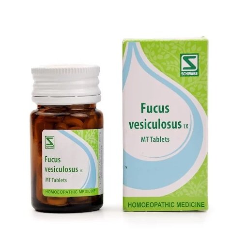 Schwabe-FUCUS-VESICULOSUS-1X-MT-TABS.jpg Dr Willmar Schwabe India Homoeopathic Fucus Vesiculosus 1X MT Tablets (20gm) for Indigestion Acidity Gas Thyroid - Image 1