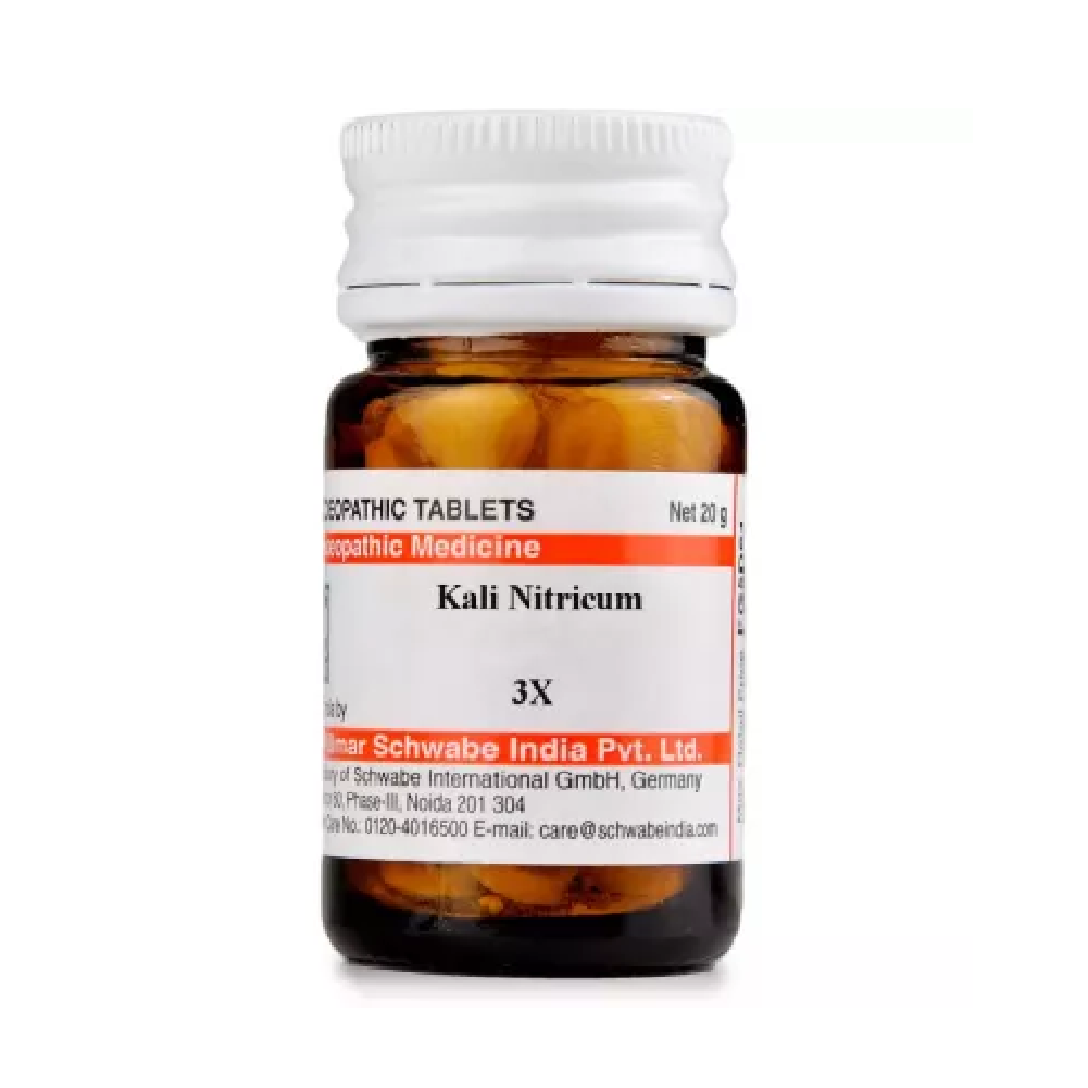 Willmar-Schwabe-India-Kali-Nitricum-3X-20g.png Willmar Schwabe India Kali Nitricum (20g) For Headache, joint Pain - Image 1